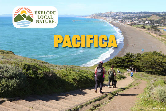 Explore Local Nature - Pacifica!